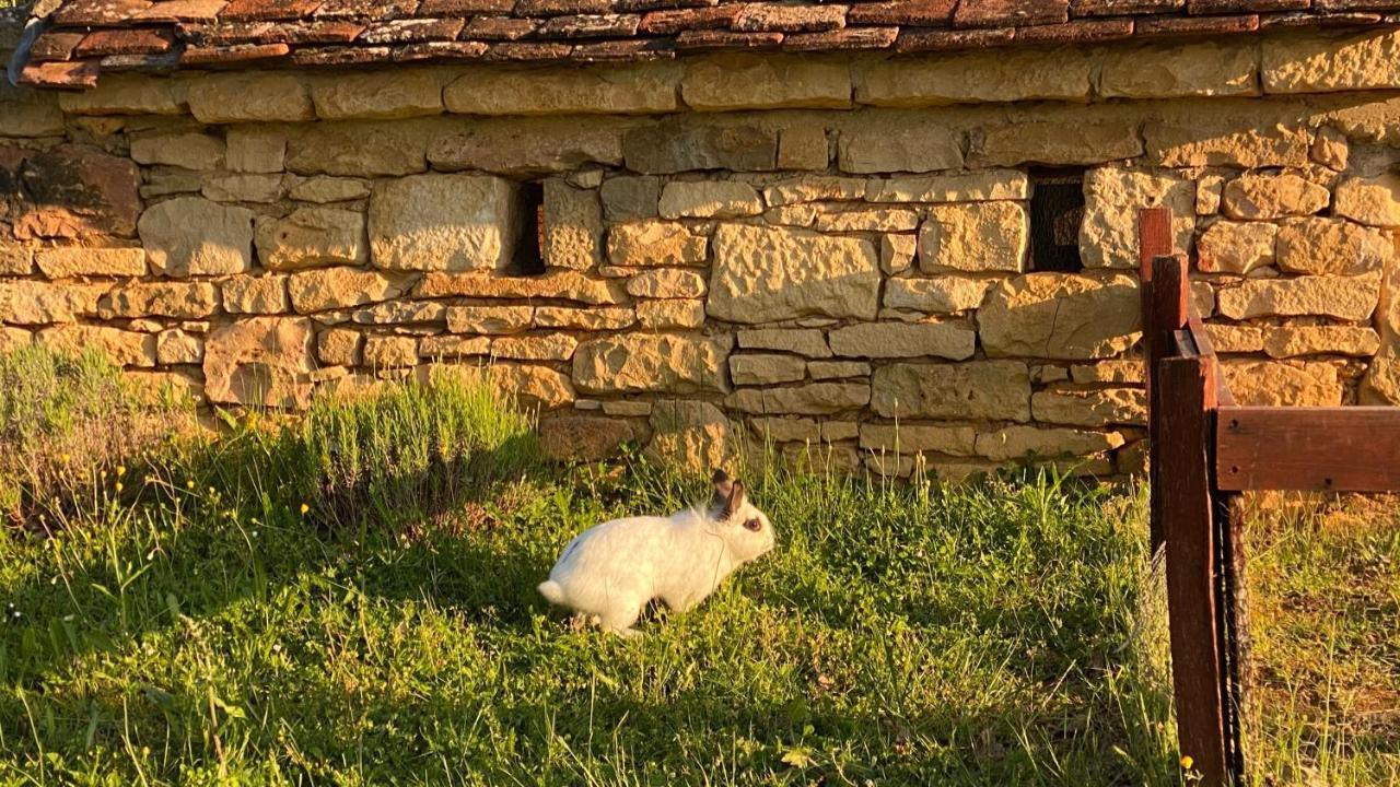Eco-Hameau Du Sentier Des Sources Villa Sarlat-la-Caneda Ngoại thất bức ảnh