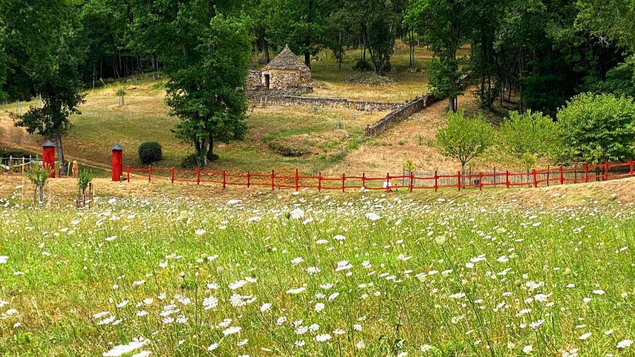 Eco-Hameau Du Sentier Des Sources Villa Sarlat-la-Caneda Ngoại thất bức ảnh
