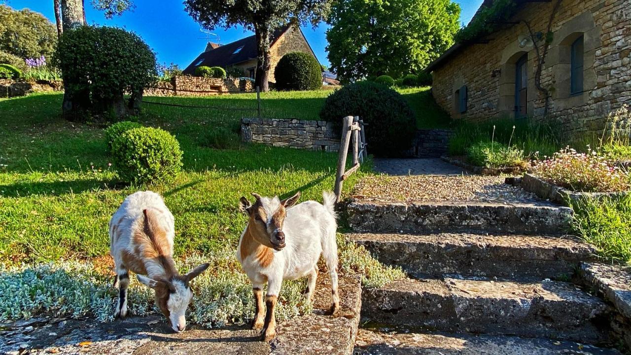 Eco-Hameau Du Sentier Des Sources Villa Sarlat-la-Caneda Ngoại thất bức ảnh